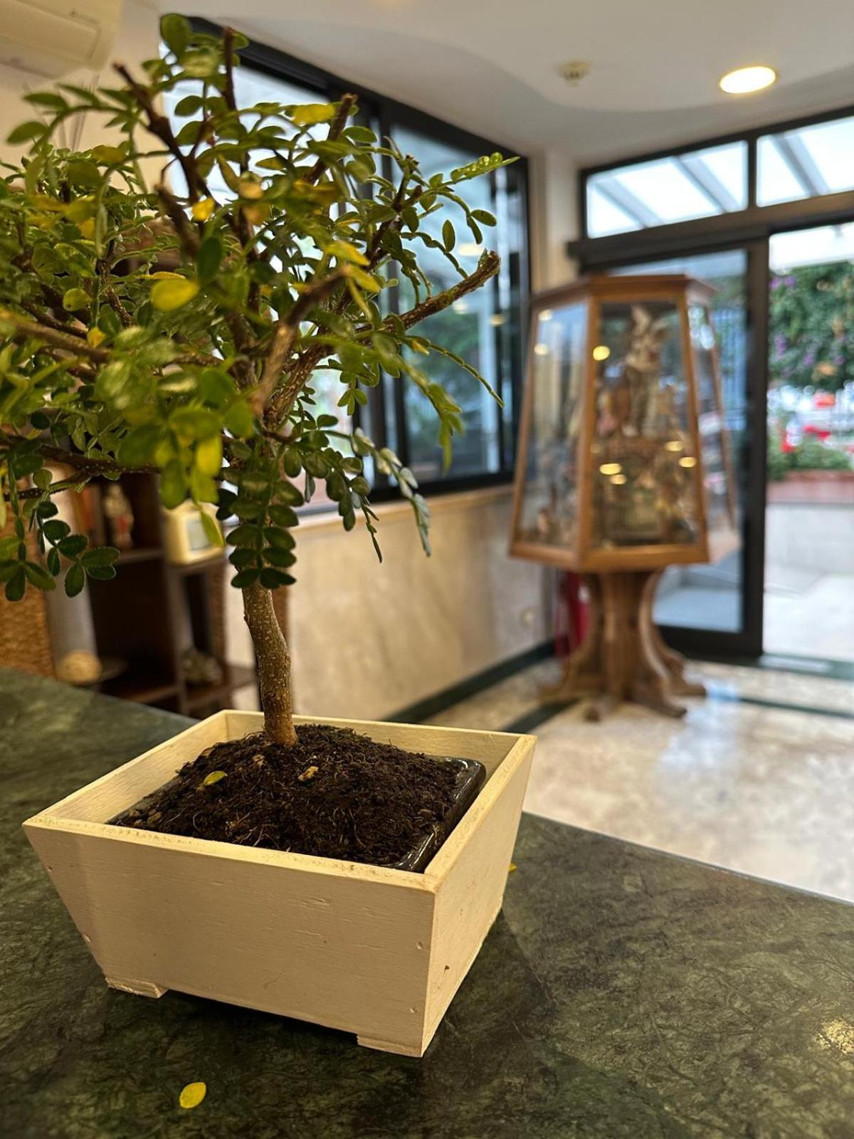 Hotel Clinton Casoria Dış mekan fotoğraf